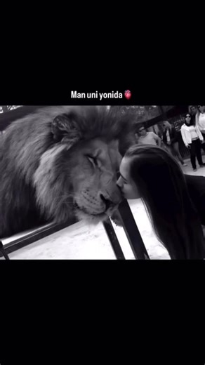 ☠️ on Instagram: "#рекомендации салам алайкум мир 🌍"