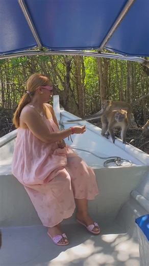 SUN OCEAN HOLIDAY (@sunoceanholiday)’s videos with original sound - SUN OCEAN HOLIDAY