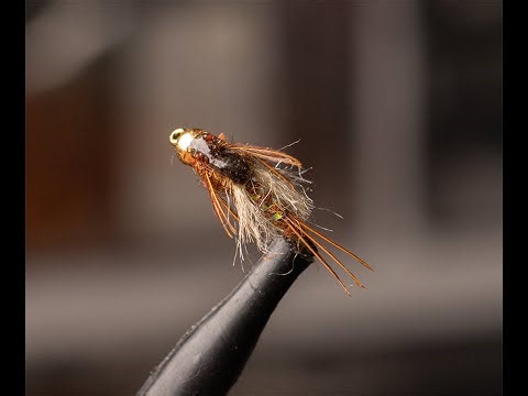 Mercer's Poxyback PMD