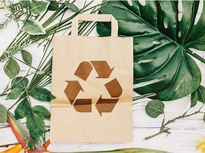Innovations In Sustainable Packaging: Balancing Profitability And Environmental Impact