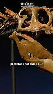 Everyone Called This a Baby T-Rex. It Wasn't.
