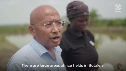 Ugandan Female Farmer Transforms Harvest with Rice-Fish Farming Innovation
