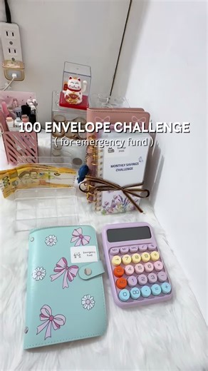 100 Envelope Challenge Update: 13 Envelopes Filled