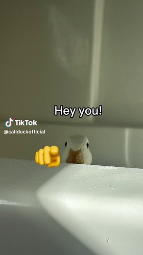 Hey you 🫵 #meme #funnymemes #funny #funnyvideos | funny