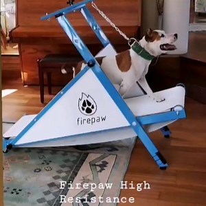 13K views · 71 reactions | The Firepaw High Resistance Treadmill is even better now with just 1.4 minutes assembling and dismantling time and low noise level it is a great tool for everyday workouts. 5-15 minutes workouts are efficient for every dog with weight over 12 kg. https://firepaw.eu/product/firepaw-high-resistance-carpet-dog-treadmill/ | Firepaw Dog Treadmills | Facebook