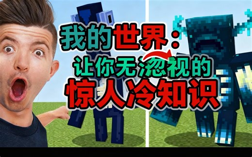 [中配]我的世界：让你无法忽视的惊人冷知识 - PrestonPlayz