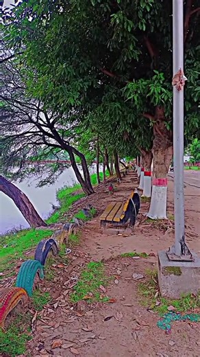 Sambrial nahar #Sambrial #sambrialalla #804 #sambrialnehar #sambrial_sialkot