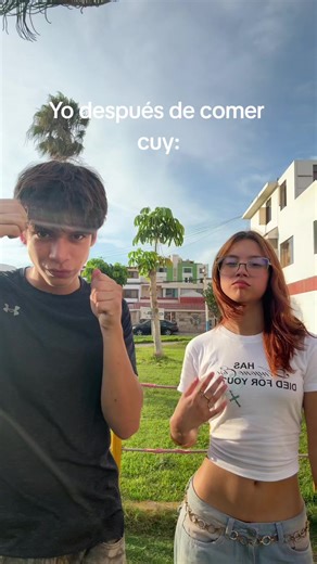 El sabor del chaufa en Perú