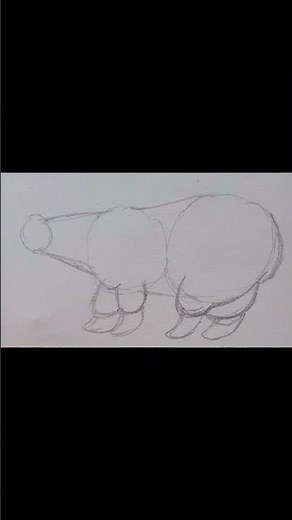 how to draw bear#easydrawing #easy #art #beginnners#shorts#step by step