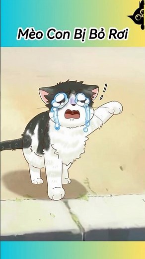 Mèo Mẹ Vô Tâm Tàn Nhẫn Với Mèo Con | Super Méo #thúcưng #shorts #funny #pets #cat #cute