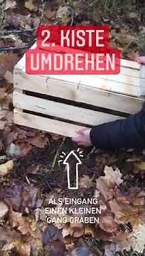 Igelhaus bauen | Services | AL-KO Gardentech