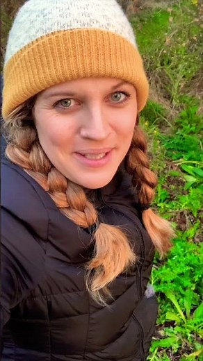 Our OFF GRID LIFE in 60 Seconds: A summary of our off-grid life in the U.K.