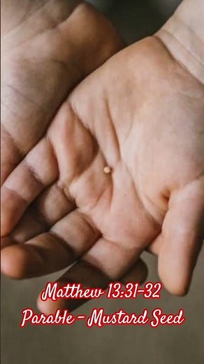 Matthew 13:31-32 Parable - Mustard Seed. Explanation of the Parable in description!