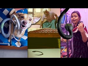 🐍 SNAKE PRANK on FAMILY 😂🔥| Ellarukum Semma Bayam! 😱😜