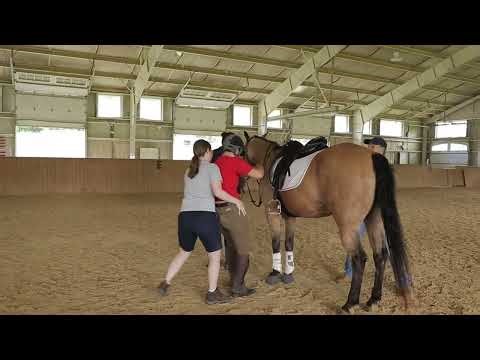 MTR Sidewalker Training Video