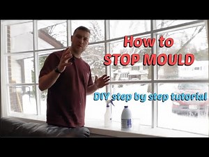 DIY Mould removal and prevention using standard household items