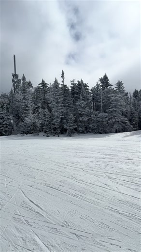 Rum Ham (@imsorryrumham)’s videos with the outdoors makes me happy - Mikayla 🌲