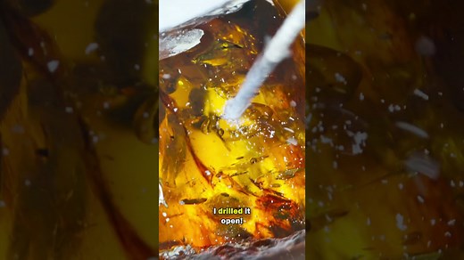 Cracking Open A Dinosaur Age Fossil With Water Inside!