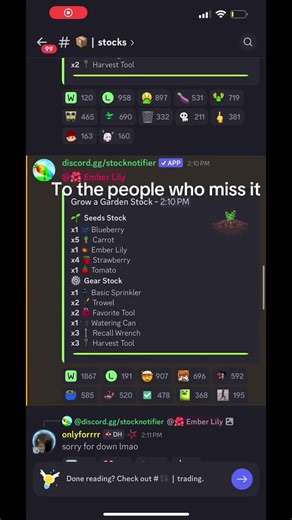String cheese on TikTok