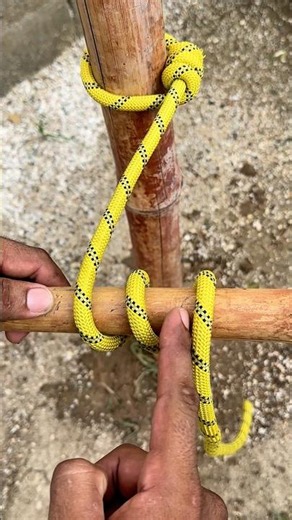 Essentials Knots You Need To Know - The Most Famous Knot !