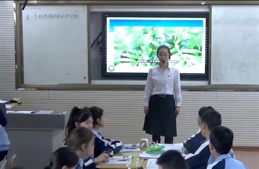 省级优秀示范课——细胞膜的结构与功能