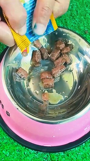 783K views · 27K reactions | Rescuing a Scared, Abandoned Puppy | Cocomelon - Nursery Rhymes | Facebook