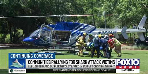 Update on shark attack victims and heroes who helped save their lives