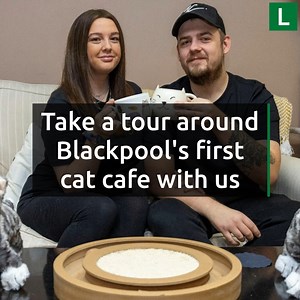 Come and have a look around Blackpool's first cat cafe with us. | Lancs Live