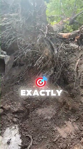 The Family Legend Was Real