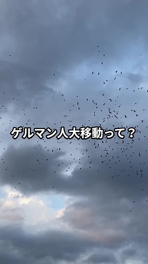 ゲルマン人の移動先がもし、、？#日本史 #世界史#ゲルマン人大移動