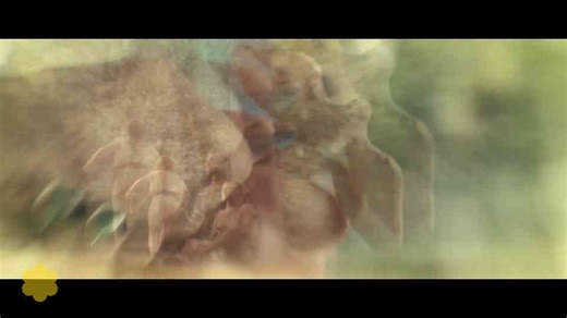 Channing Tatum leads a Roman garrison into battle (full scene) - The Eagle