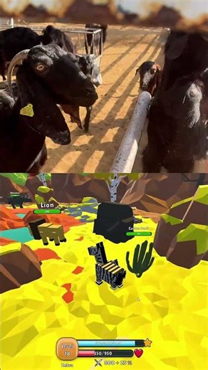 Here's how to play Evolution Simulator with real animals