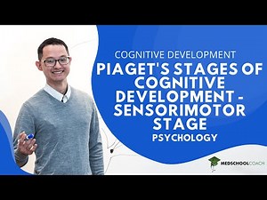Piaget's Stages of Cognitive Development – Sensorimotor Stage Video Lecture - MCAT