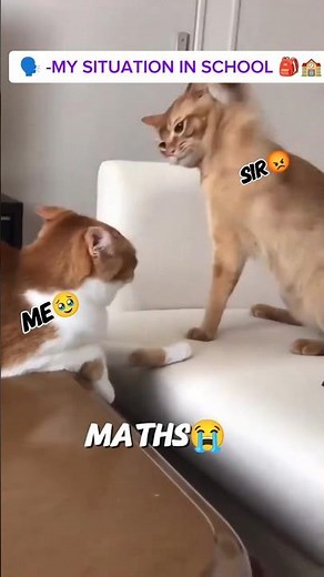 my situation in my school 🥹#relatable #shortvideo 😭