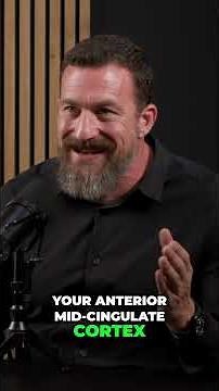 Build Your Brain: The Anterior Mid-Cingulate Cortex Explained