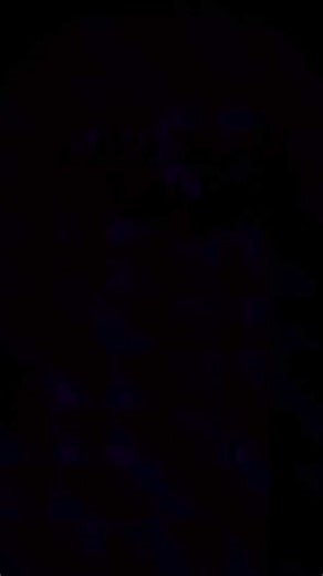 Let's meet our newest spring friends 🐸 🐝 ! #bees #froggies #siliconebeads #focal #beads #siliconeproducts #focalbeads