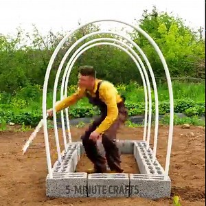 2.4M views · 9.2K reactions | Incredible gardening tips to grow anything anywhere!  | 5-Minute Crafts | Facebook