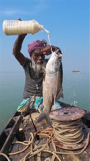 Ultimate Big Fish Hook Trap Fishing Method 04 #fishing #fishinglife #shorts