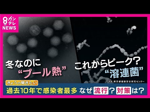 【プール熱】過去10年で最多 同時に「溶連菌」も流行 「３年間のコロナが大きかったんじゃないか」と医師 生活様式の変化で感染広がる 対策は？専門家解説【関西テレビ】