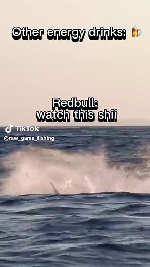 Catch and Release Techniques for Marlin Fishing