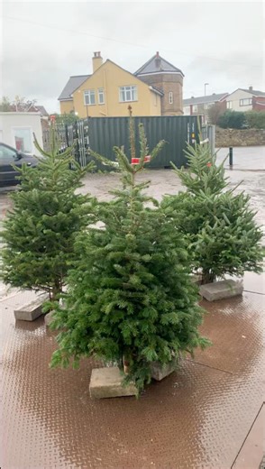 🎄 TREE SALE 🎄 Trees are now on sale for £30 – ANY TREE! We still have wreaths available, but they’re selling fast, and our snowmen are just waiting for new homes ⛄️ Grab yours while stocks last! 📍 Inside Outside Storage Christmas Trees | Inside Outside Storage