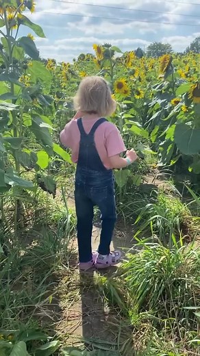 🐝 🌸 #howweelearn #toddleractivities #activitiesforkids #learningthroughplay #playbasedlearning #earlylearning #kindergartenteacher #preschoolathome #homeschooling #homeeducation #homeschoolfamily #homeschoolmom #earlychildhood #homeschool | How Wee Learn