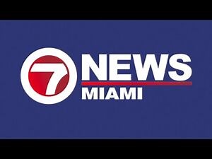 WSVN news opens-3