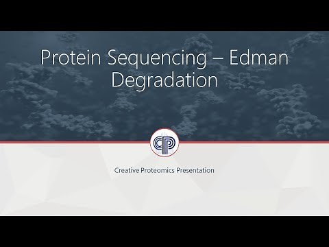 Edman degradation