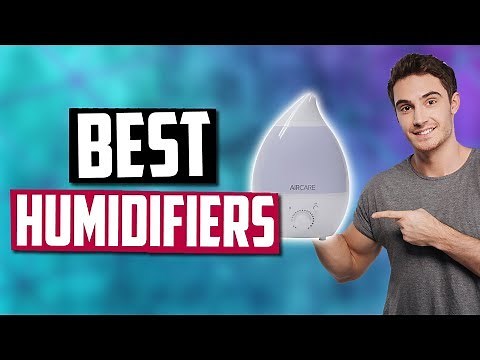 Best Humidifiers in 2020 [Top 5 Picks]