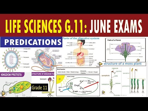 GRADE 11: 2023 JUNE EXAMS: LIFE SCIENCES GRADE 11 PREDICTIONS [THUNDEREDUC] BY: B.SAIDI