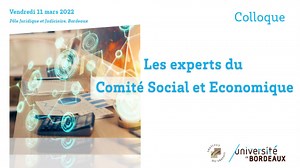 L'expert-comptable du comité / Débat 2 | Canal U