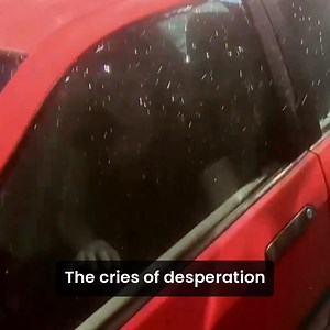 💡 Would you know what to do if your car plunged into water? Over 60 people drown in submerged car accidents every year. Car windows are designed to withstand extreme forces—making them nearly impossible to break in emergencies. Many of these tragedies are preventable if using the right tool. Introducing Life Hammer, the ultimate escape tool for emergencies: 💥 Breaks car windows instantly—even underwater. 🪓 Cuts through seat belts in seconds. ✅ Works on all types of car glass. 🔄 Reusable and 