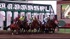 'Historical horse racing' might not get out of the starting gate in Minnesota