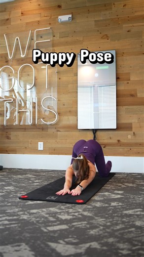How my favorite yoga poses make me feel. #fypシ #yogaposesdaily #yogafunny #yogafun #yogaforeveryone